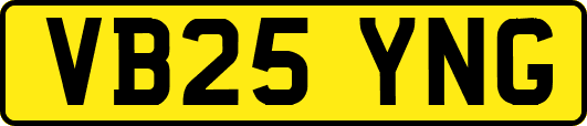 VB25YNG