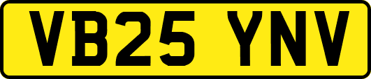 VB25YNV