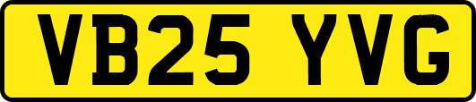 VB25YVG