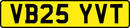 VB25YVT