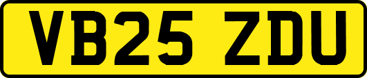 VB25ZDU