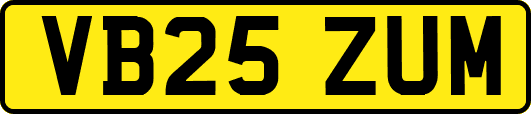 VB25ZUM