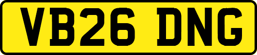 VB26DNG