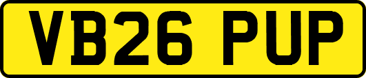VB26PUP