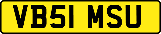VB51MSU