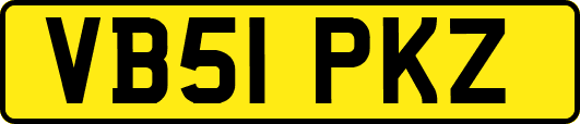 VB51PKZ