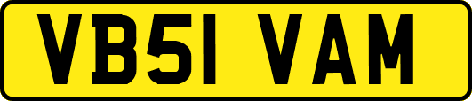 VB51VAM