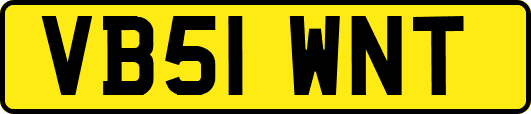VB51WNT