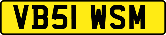 VB51WSM