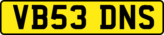 VB53DNS