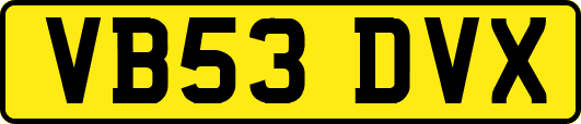 VB53DVX