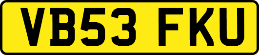 VB53FKU