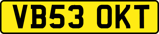 VB53OKT