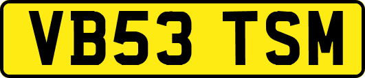 VB53TSM