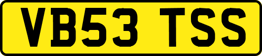 VB53TSS