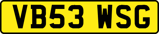 VB53WSG