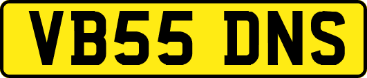 VB55DNS