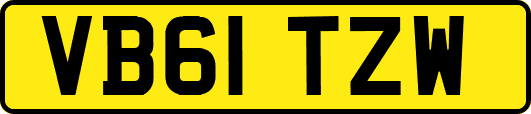 VB61TZW