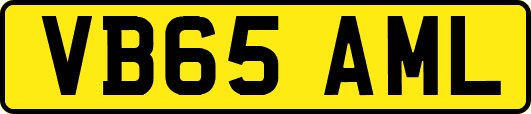 VB65AML