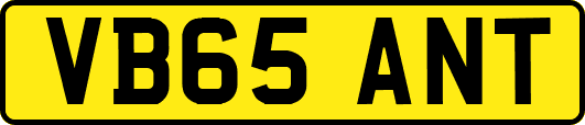 VB65ANT