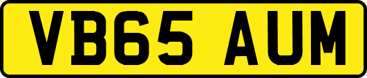 VB65AUM