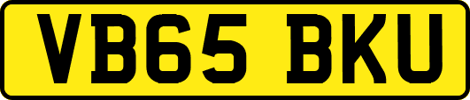 VB65BKU