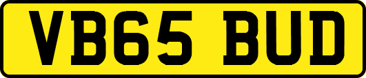 VB65BUD