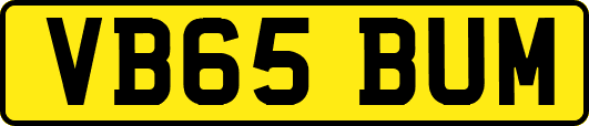 VB65BUM