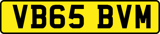 VB65BVM