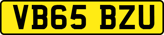 VB65BZU