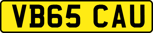 VB65CAU