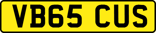 VB65CUS