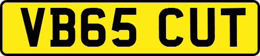 VB65CUT
