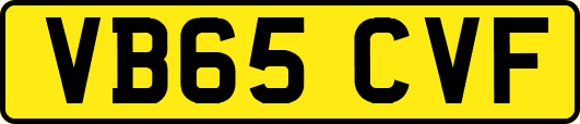 VB65CVF