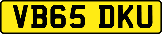 VB65DKU