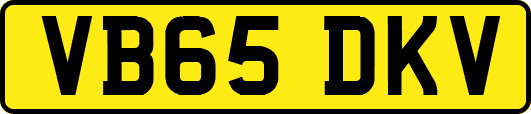 VB65DKV