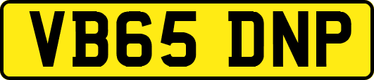 VB65DNP