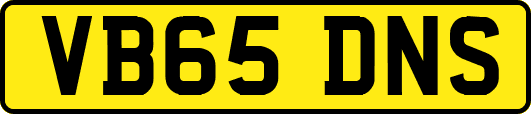 VB65DNS