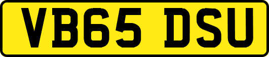 VB65DSU
