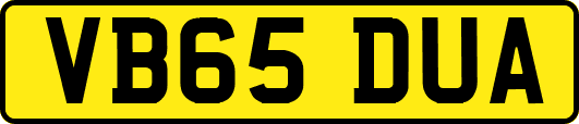 VB65DUA