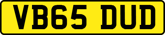 VB65DUD