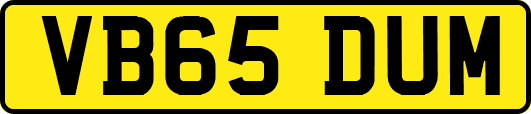 VB65DUM