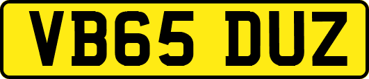 VB65DUZ