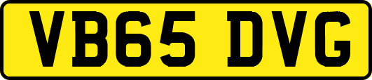 VB65DVG