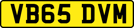 VB65DVM