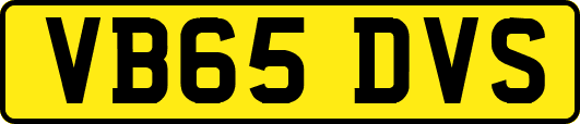 VB65DVS