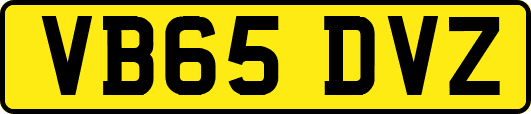VB65DVZ