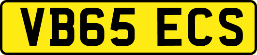 VB65ECS