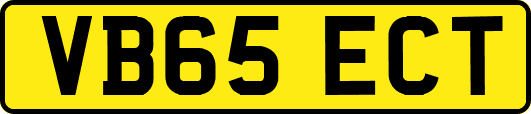VB65ECT