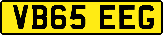 VB65EEG